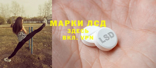 ГАЛЛЮЦИНОГЕННЫЕ ГРИБЫ Бородино