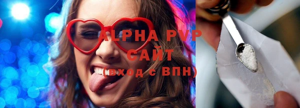 ГАЛЛЮЦИНОГЕННЫЕ ГРИБЫ Бородино