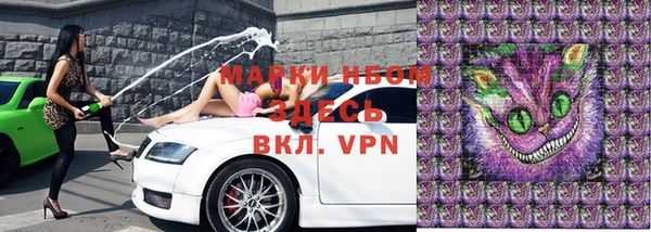 ГАЛЛЮЦИНОГЕННЫЕ ГРИБЫ Бородино