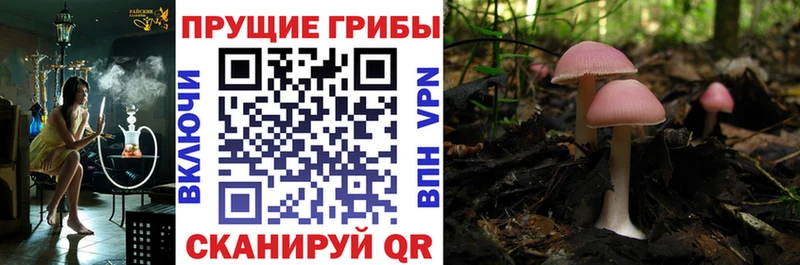 Галлюциногенные грибы мухоморы  Купить закладки  Макаров 